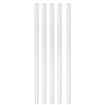 Trappers Tumbler Replacement Straws - 5 Pack