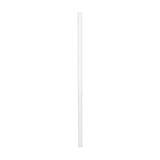 Stanley Quencher Straws - 4 pack