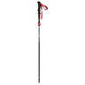 First Ascent Ibex II Trekking Pole